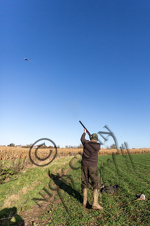 schwier shoot 11.17-44