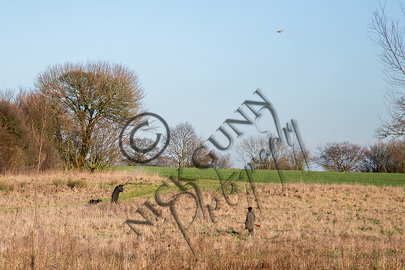 Beaters Shoot 17.1.15-36