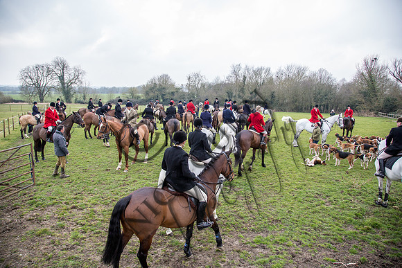 Essex Hunt 16.3.15-27