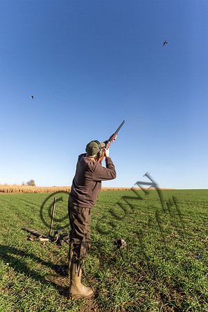 schwier shoot 11.17-48