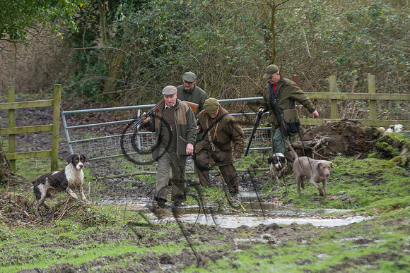 Sheering Shoot 13.1.15-19