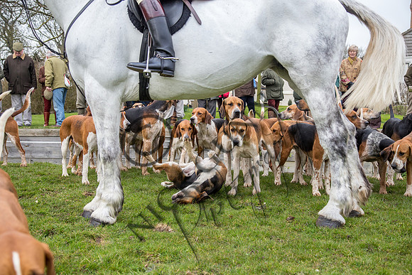 Essex Hunt 16.3.15-23