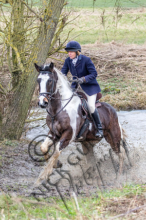 Essex Hunt 11.2.15-22