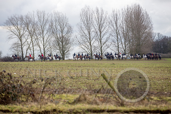 Essex Hunt 25.2.15-105