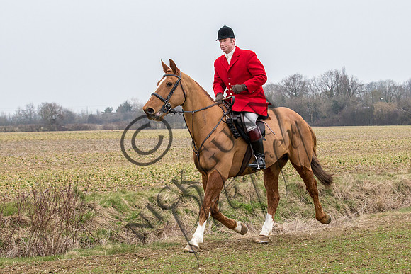 Essex Hunt 14.3.15-21