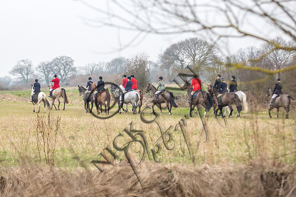 Essex Hunt 11.2.15-11