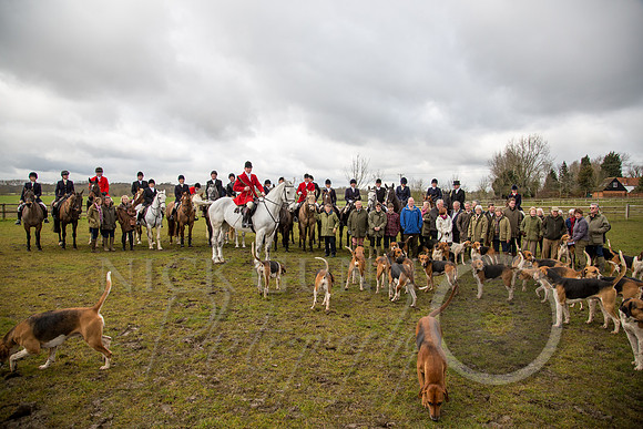 Essex Hunt 25.2.15-41