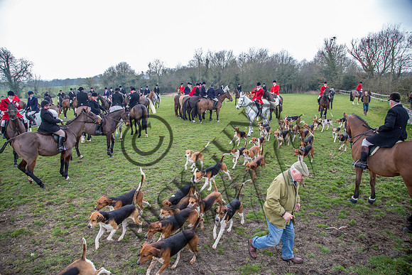 Essex Hunt 16.3.15-40