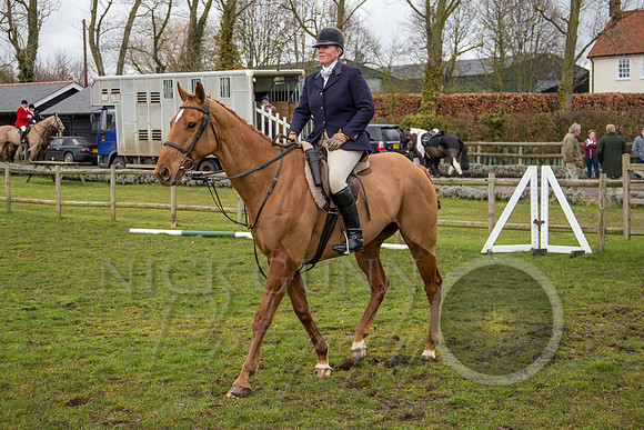 Essex Hunt 25.2.15-14