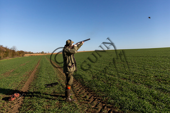 schwier shoot 11.17-28