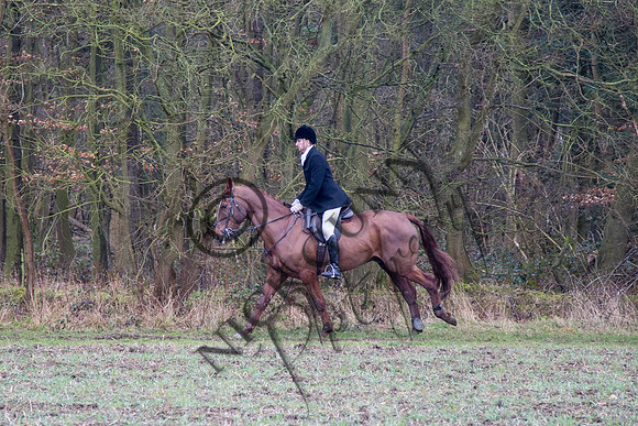 Essex Hunt 28.2.15-46