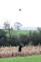 Beaters Shoot 17.1.15-19