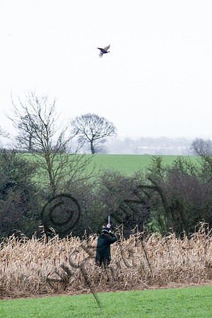 Beaters Shoot 17.1.15-19