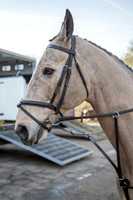 Essex Hunt 2.2.15-8