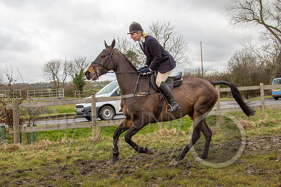 Essex Hunt 25.2.15-96