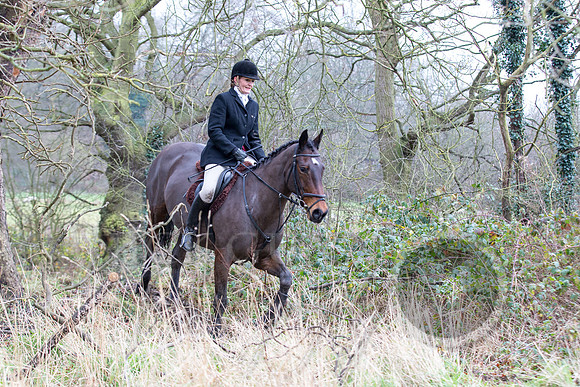 Essex Hunt 1.1.15-62