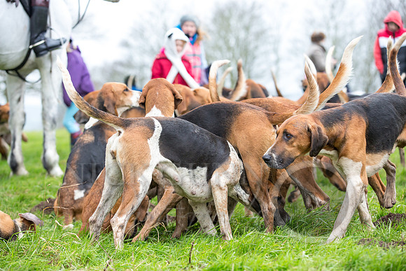Essex Hunt 1.1.15-26
