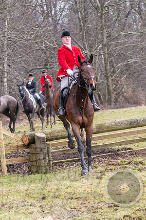 Essex Hunt 25.2.15-125