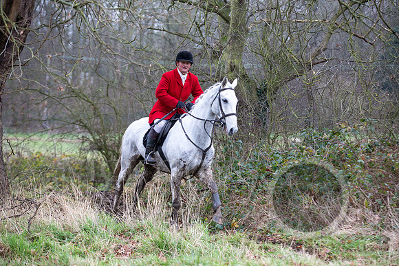 Essex Hunt 1.1.15-71