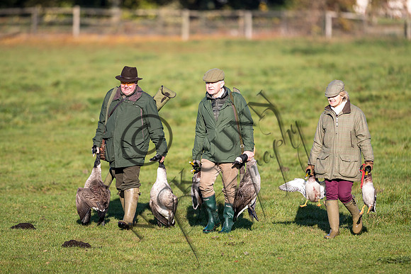 schwier shoot 11.17-15