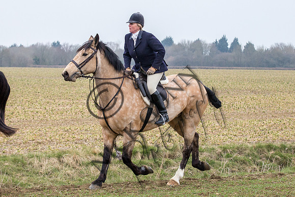 Essex Hunt 14.3.15-36