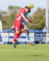 BTFC CAR-20