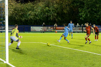 BTFC Bright-3