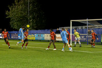 BTFC Bright-17