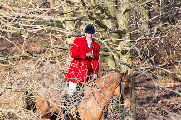 Essex Hunt 13.2.17 -1