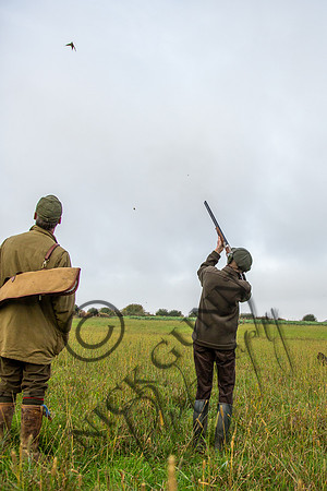 coop-29