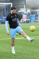 BTFCvHorn-9