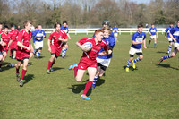 IMG_0781