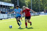 BTFC W-3