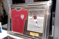 BTFC Gala-4