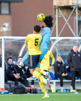 BTFC HASH-12