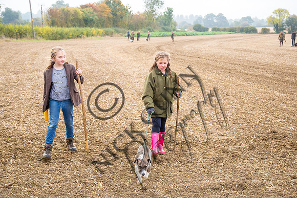 coop-45