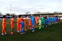 BTFC VBILL-11
