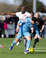 BTFC CHAT-16