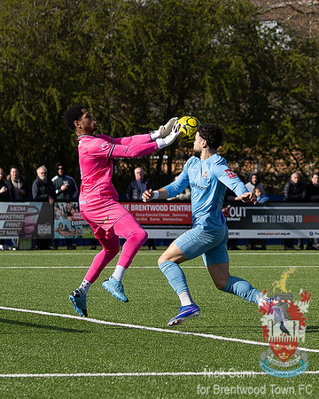 BTFC CHAT-22