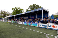 BTFC PLAY-17