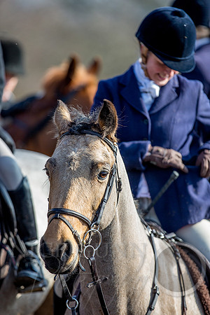 Essex Hunt 13.2.17 -36