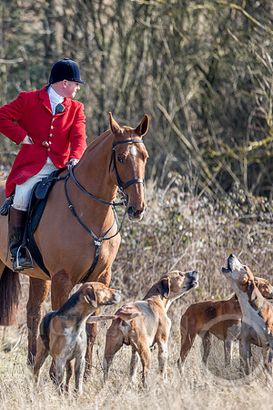 Essex Hunt 13.2.17 -46