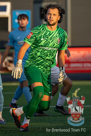 BTFCvHFC_20260731-1