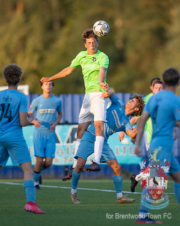 BTFCvHFC_20260731-19