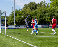 BTFC Horn -10