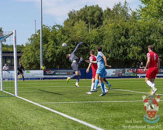 BTFC Horn -10