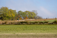 shoot 301026-106