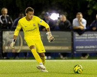 BTFC MAL-19