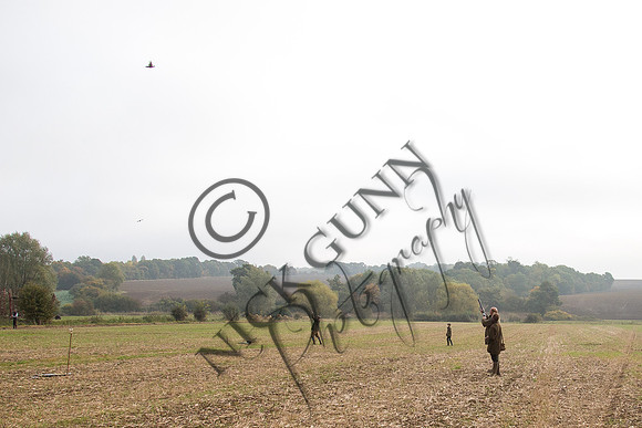 coop-14