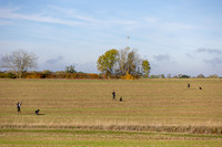 shoot 301026-113